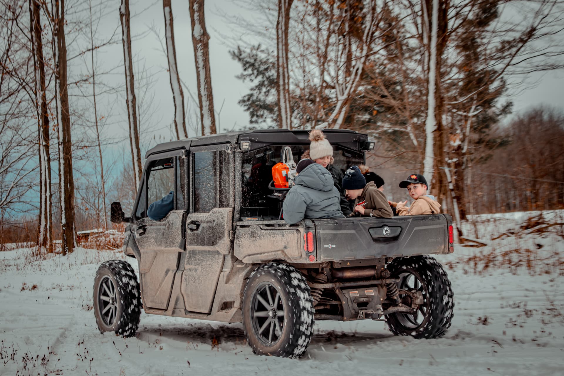 Collecting sap in the sugar bush